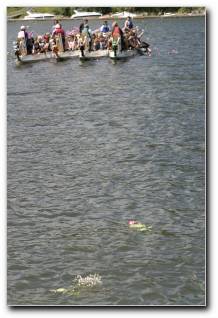 [Click to enlarge image]