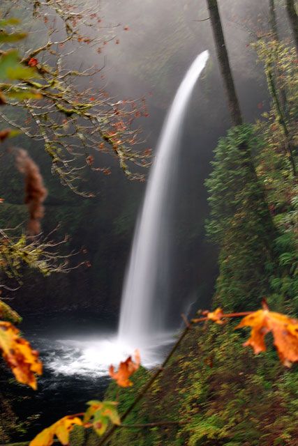 <b>Metlako Falls - Columbia River Gorge</b>