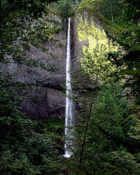 <b>Latourell Falls - Columbia River Gorge</b>