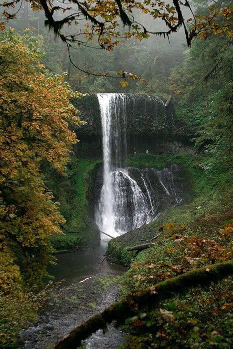 <b>Middle North Falls - Silver Falls State Park</b>