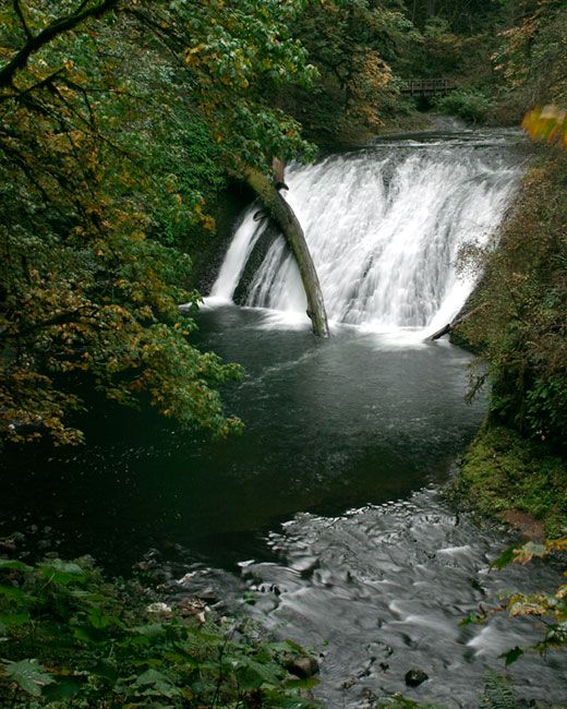 <b>Lower North Falls - Silver Falls State Park</b>