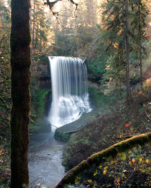 <b>Middle North Falls - Silver Falls State Park</b>