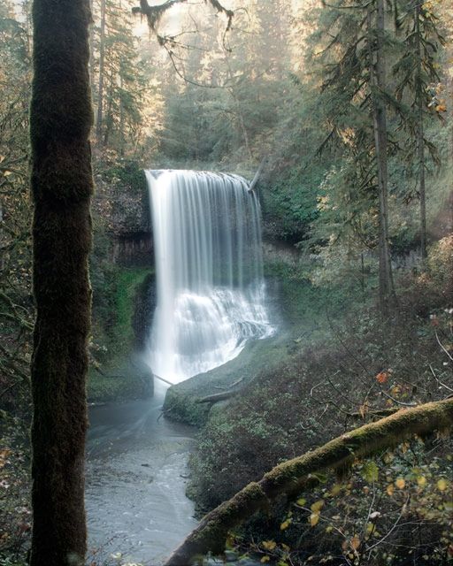 <b>Middle North Falls - Silver Falls State Park</b>