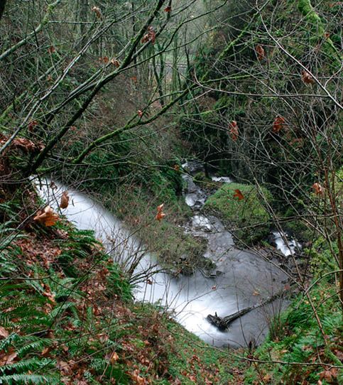 <b>Shepard's Den - Columbia River Gorge</b>