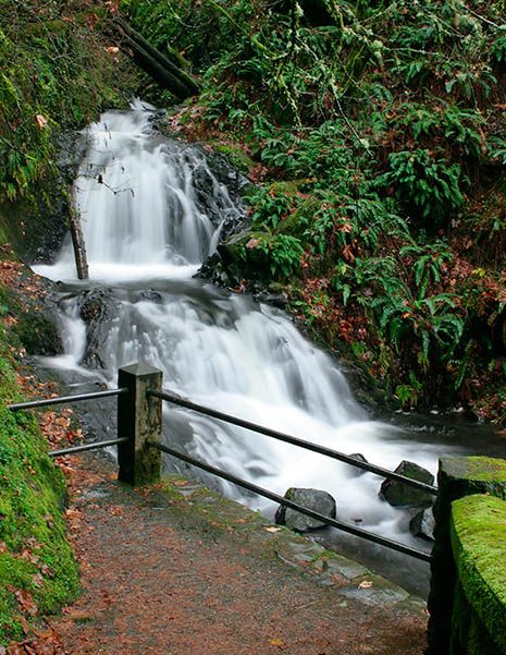 <b>Shepard's Den - Columbia River Gorge</b>