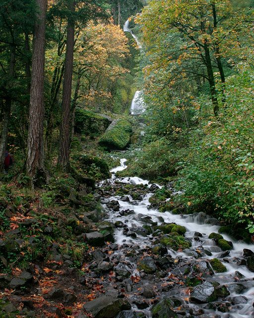 <b>Wahkeena Falls - Columbia River Gorge</b>